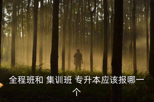 專(zhuān)升本為什么要集訓(xùn)啊,天津?qū)Ｉ究砷_(kāi)設(shè)集訓(xùn)班和提高學(xué)習(xí)成績(jī)