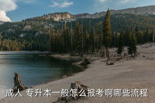 成人 專升本一般怎么報(bào)考啊哪些流程