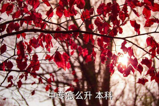 中專升本科是專升本嗎,中?？煽急究茊?可以這么做!