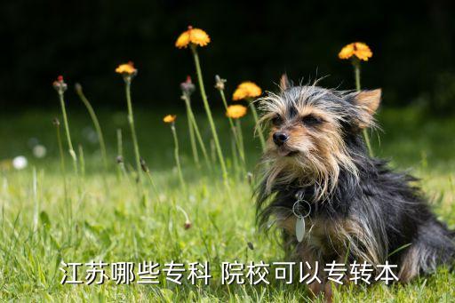  江蘇哪些?？?院?？梢詫＾D(zhuǎn)本