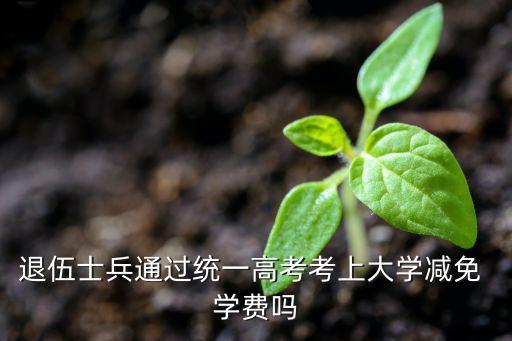 退伍兵專升本免學(xué)費(fèi),退役士兵免試專升四大優(yōu)勢
