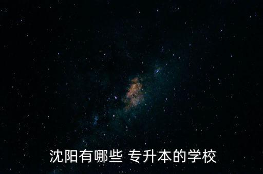  沈陽有哪些 專升本的學校