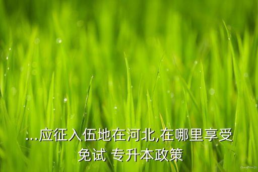 西部計劃專升本免試,云南高升本報名人數4.3萬人
