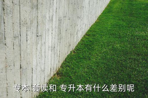 套讀本科和專升本,?？坪推胀ū究朴心男┎煌?