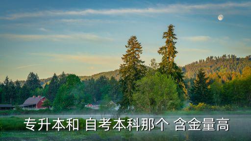 自考和專升本含金量,成人教育專升本學歷有何差別?
