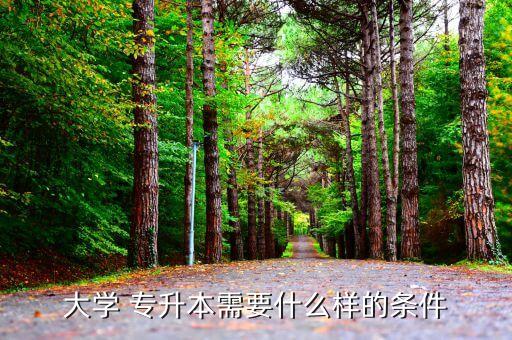 學(xué)生專升本要求,自考專升本:報名時需要國家承認(rèn)學(xué)歷大專文憑