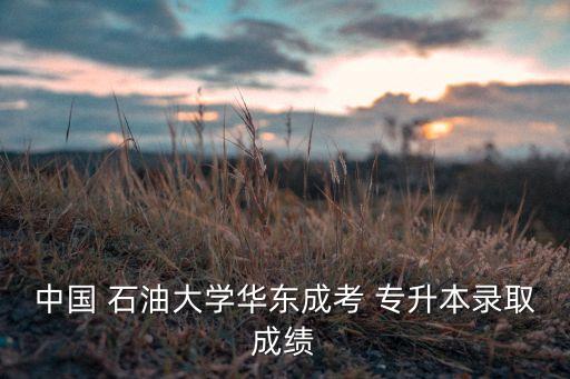 中國 石油大學(xué)華東成考 專升本錄取成績