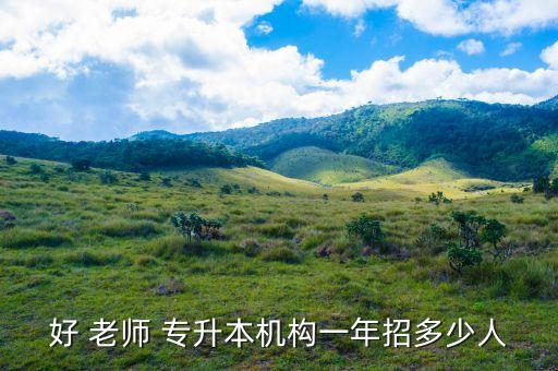 好 老師 專升本機構一年招多少人