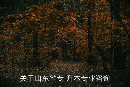 關于山東省專 升本專業(yè)咨詢