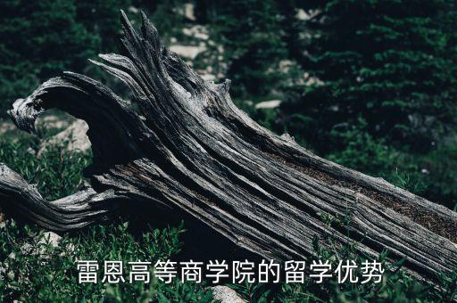  雷恩高等商學院的留學優(yōu)勢