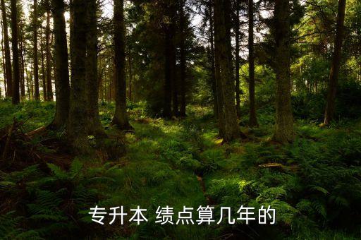 專升本 績(jī)點(diǎn),大學(xué)生學(xué)業(yè)成績(jī)有哪些重點(diǎn)?