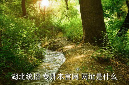 湖北統(tǒng)招 專升本官網 網址是什么