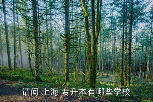 請(qǐng)問 上海 專升本有哪些學(xué)校