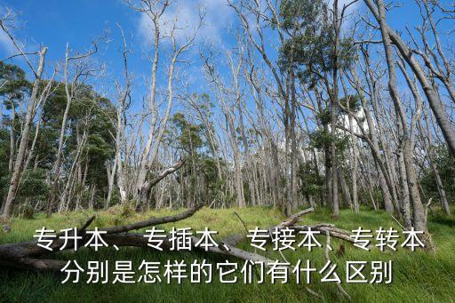  專升本、 專插本、專接本、專轉(zhuǎn)本分別是怎樣的它們有什么區(qū)別
