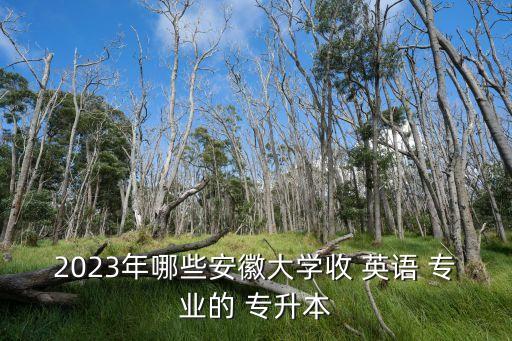 2023年哪些安徽大學(xué)收 英語 專業(yè)的 專升本