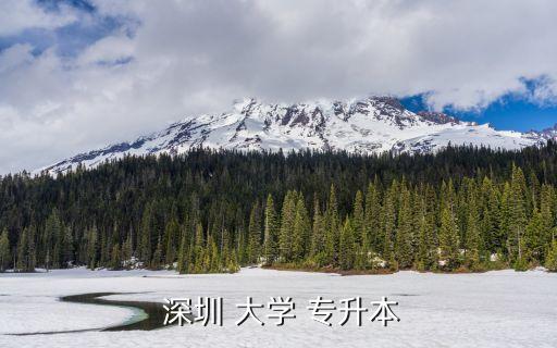 深圳大學(xué)的專升本,深圳大學(xué)提供全日制本科專業(yè)學(xué)位證書(shū)