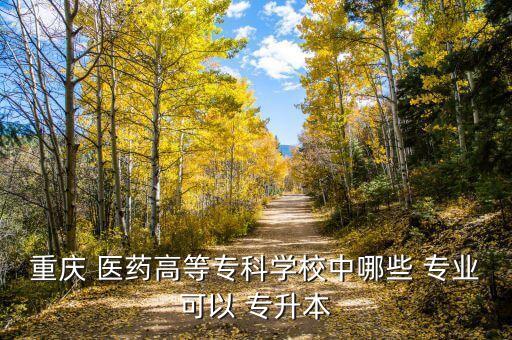 重慶 醫(yī)藥高等?？茖W(xué)校中哪些 專業(yè)可以 專升本
