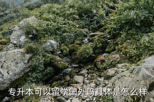 日本能專升本的大學(xué),四川專升本機(jī)構(gòu):a學(xué)生可出國留學(xué)學(xué)習(xí)