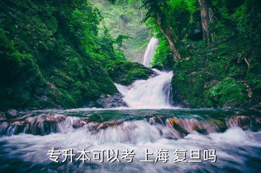  專升本可以考 上海 復旦嗎