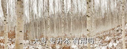 大專 專升本 有用嗎