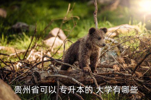 專升本貴州的大學(xué)有哪些,貴州大學(xué)簡稱大圭位于貴州省會貴陽