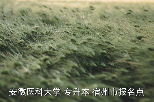 安徽醫(yī)科大學(xué) 專升本 宿州市報(bào)名點(diǎn)