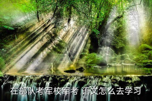 在部隊(duì)考軍校軍考 語文怎么去學(xué)習(xí)