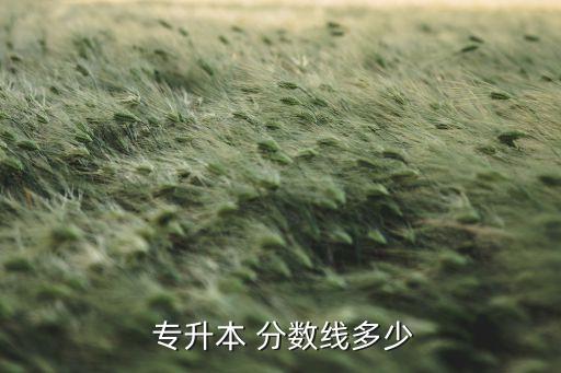 濱醫(yī)專升本錄取分數(shù)線,全國高等學府學府新學年度考試成績揭曉