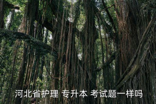  河北省護理 專升本 考試題一樣嗎