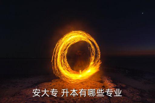 安徽大學(xué)2015藝專(zhuān)升本,安大升本專(zhuān)業(yè)有哪些?