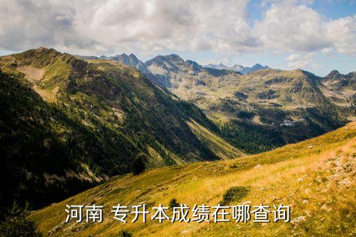 河南 專升本成績在哪查詢
