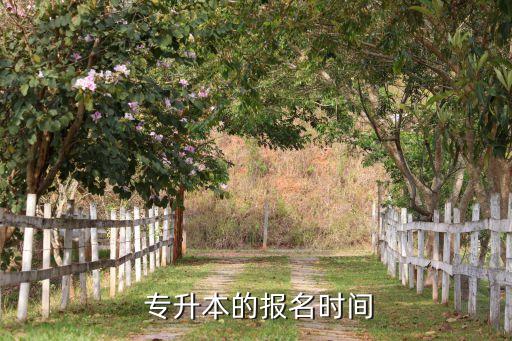  專升本的報(bào)名時間
