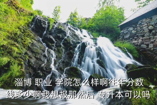 淄博 職業(yè) 學(xué)院怎么樣啊往年分?jǐn)?shù)線多少啊我想報(bào)那然后 專升本可以嗎