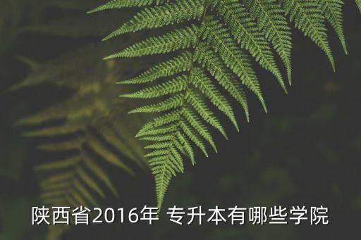 陜西省2016年 專升本有哪些學(xué)院