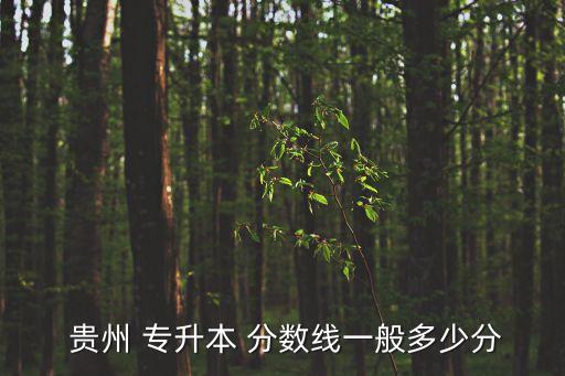  貴州 專升本 分?jǐn)?shù)線一般多少分
