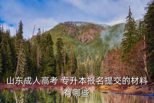 山東成人高考 專(zhuān)升本報(bào)名提交的材料有哪些