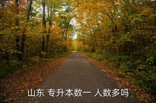 山東 專(zhuān)升本數(shù)一 人數(shù)多嗎