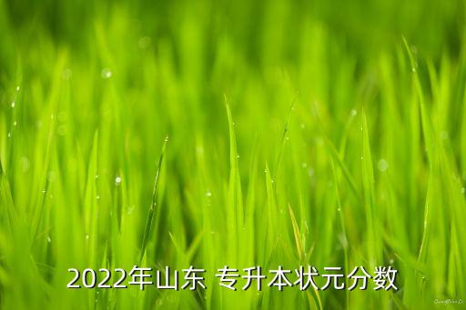 山東省專升本國(guó)貿(mào)分?jǐn)?shù)線,山東2022年專升本狀元390分