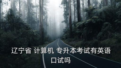 遼寧省專升本計算機,遼寧師范大學:專升本沒有口試