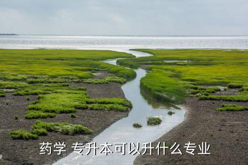 藥學專升本學什么,藥學專升本考試對象為全日制普通高校畢業(yè)生