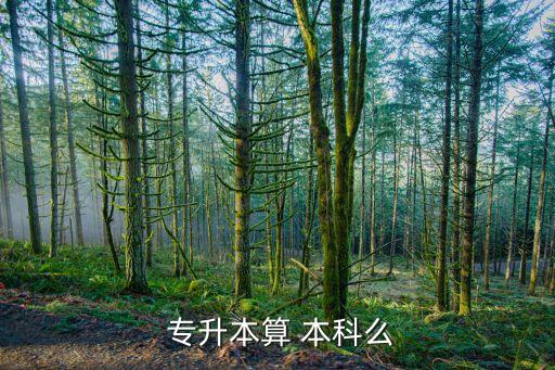 專升本是本科學(xué)歷么,如何進(jìn)行全日制學(xué)位專升本?