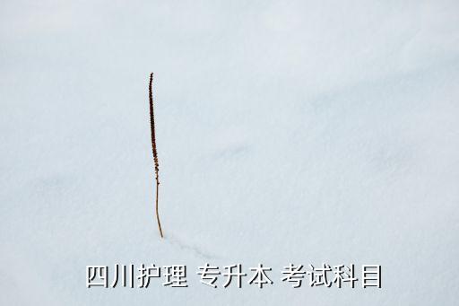  四川護理 專升本 考試科目
