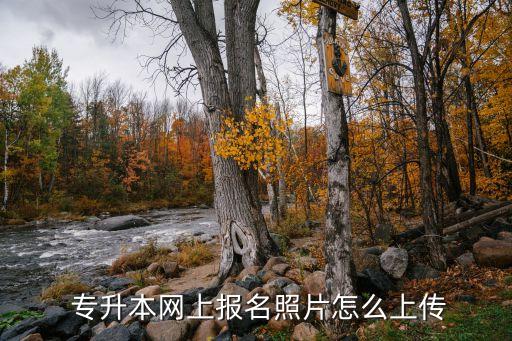  專升本網(wǎng)上報(bào)名照片怎么上傳