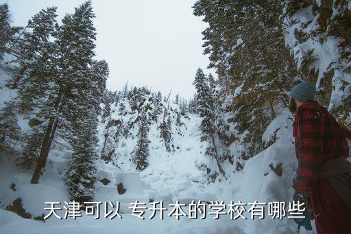 能專升本的飛行大學(xué),四川英語專升本可報(bào)名考試天津美術(shù)學(xué)院