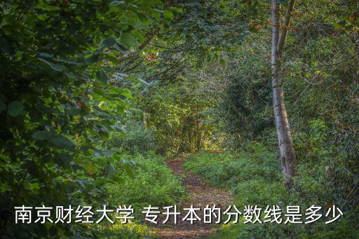 南京財經(jīng)大學(xué) 專升本的分?jǐn)?shù)線是多少
