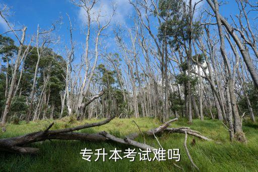  專升本考試難嗎