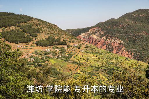  濰坊 學(xué)院能 專(zhuān)升本的專(zhuān)業(yè)