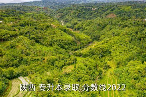 2016陜西省專升本分數(shù)線,醫(yī)學專業(yè)本科錄取分數(shù)線今年最高