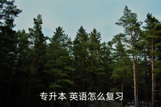  專升本 英語(yǔ)怎么復(fù)習(xí)