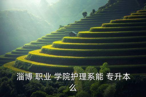  淄博 職業(yè) 學(xué)院護(hù)理系能 專升本么